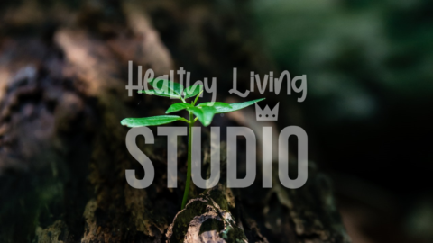 Healthy Living Elements